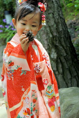 フォトスタジオ（写真スタジオ）：WadajiN、3歳三つ身等各種写真撮影承ります|キモノレンタル|大阪・日産呉服都島店
